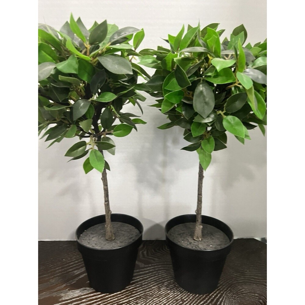 2 IKEA FEJKA Artificial Potted Plant Weeping Fig Stem 17" artificial 003.953.08